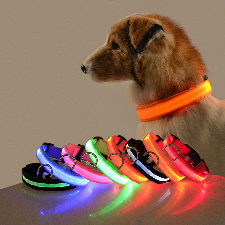 Hundhalsband med LED